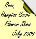 Hampton Court Flower Show, July 2009